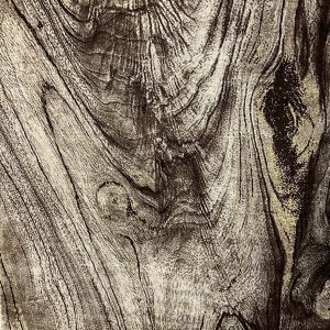 LUXURY Rug DESIGN 1136 LUXURY Rug DESIGN 1136